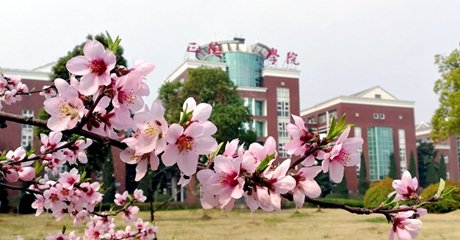 校企合作成效显著